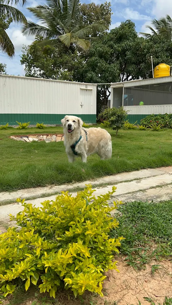 Showing Up and Getting Ready to Splash